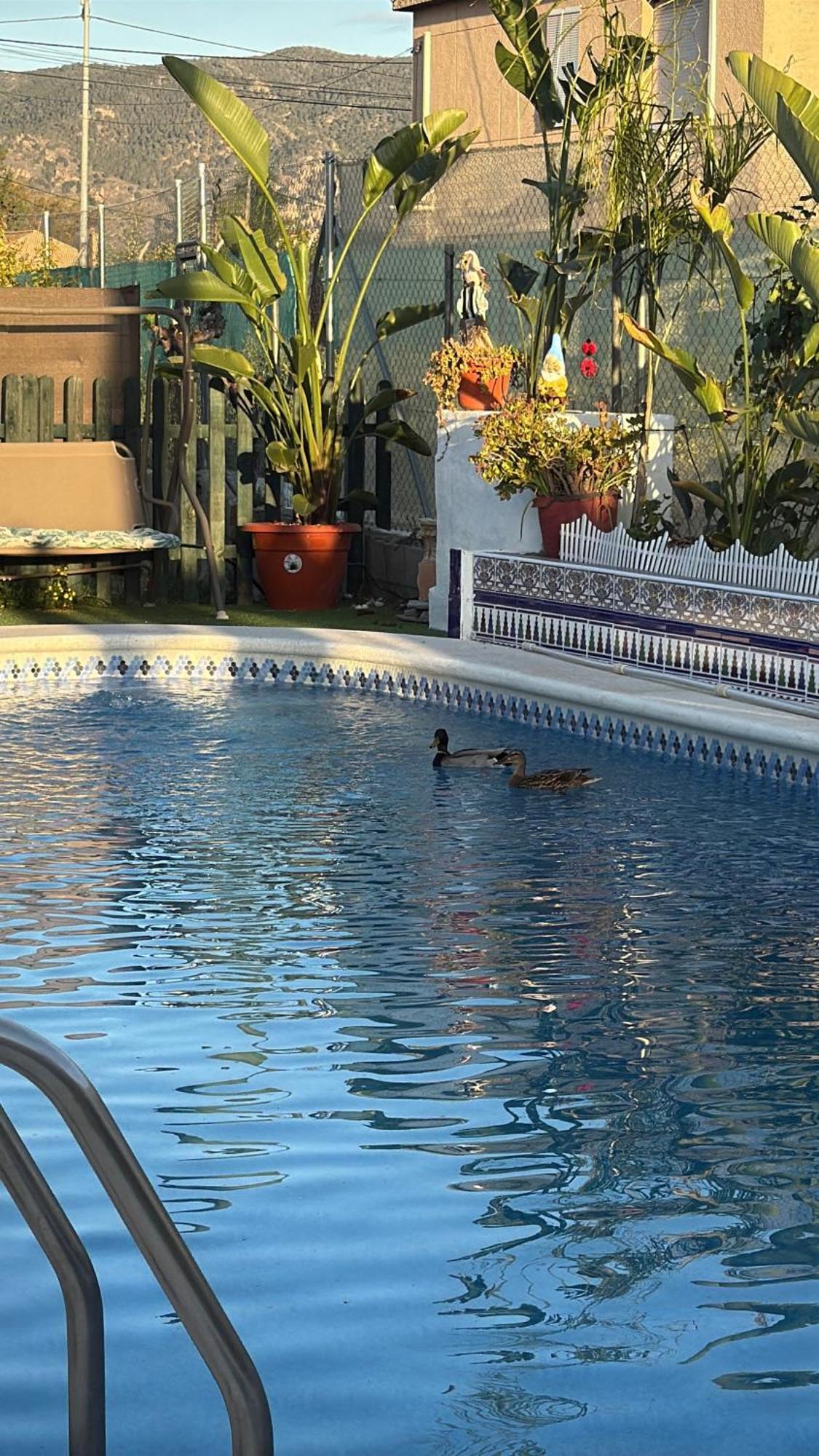 Casa Rural A 4Km De Murcia Con Piscina Y Spa Caliente מראה חיצוני תמונה